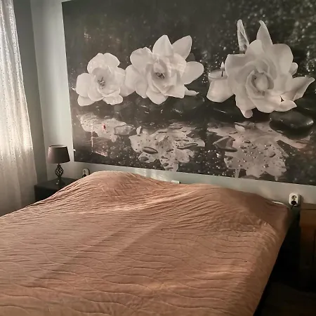 Vival Otel Vidin